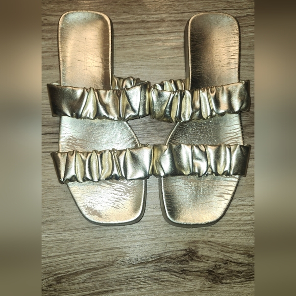 Silver Coach Slides/ Gold Slides - Picture 3 of 4